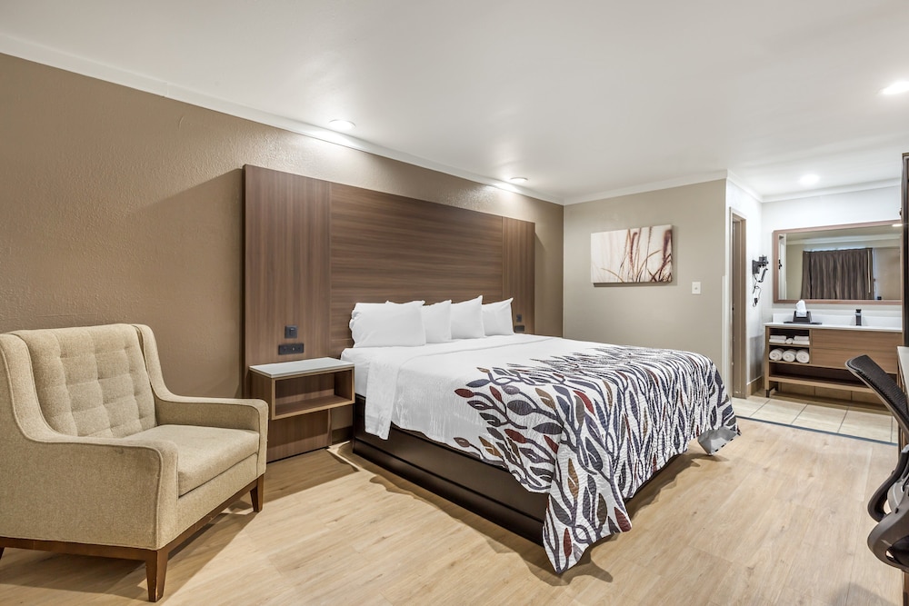 Deluxe Room, 1 King Bed, Non Smoking - Photo 1