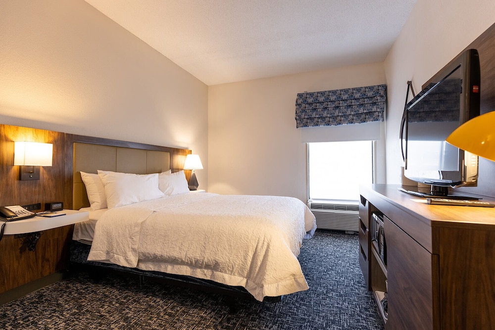 Suite, 1 King Bed photo 2