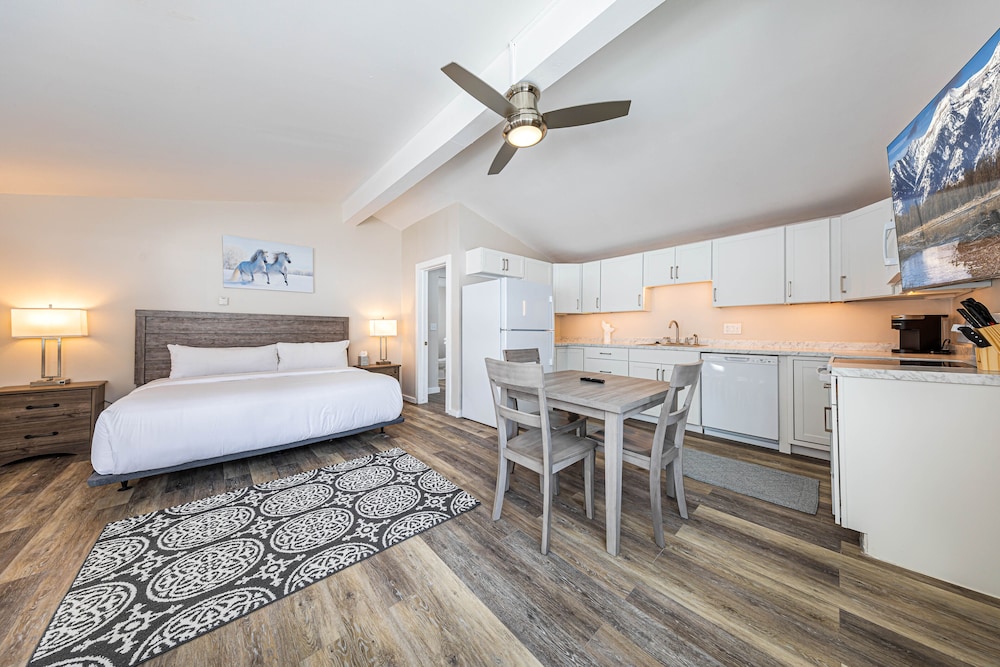 Studio Suite, 1 King Bed, Park View