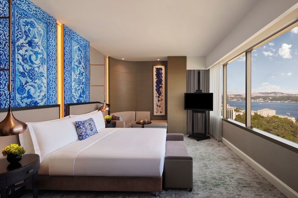 Room, 1 King Bed, Park View