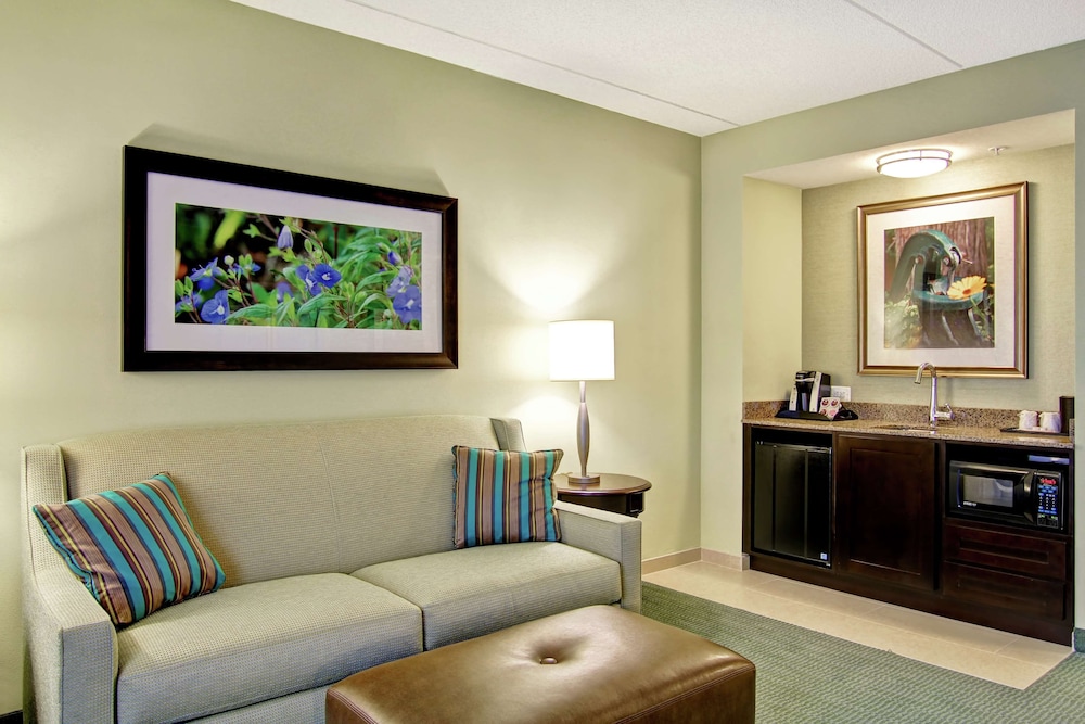 Suite, 1 King Bed, Accessible (Mobility/Hearing, Roll-In Shower) photo 1