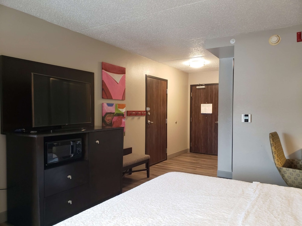 Room, 1 King Bed, Accessible (Roll-In Shower) - Photo 3