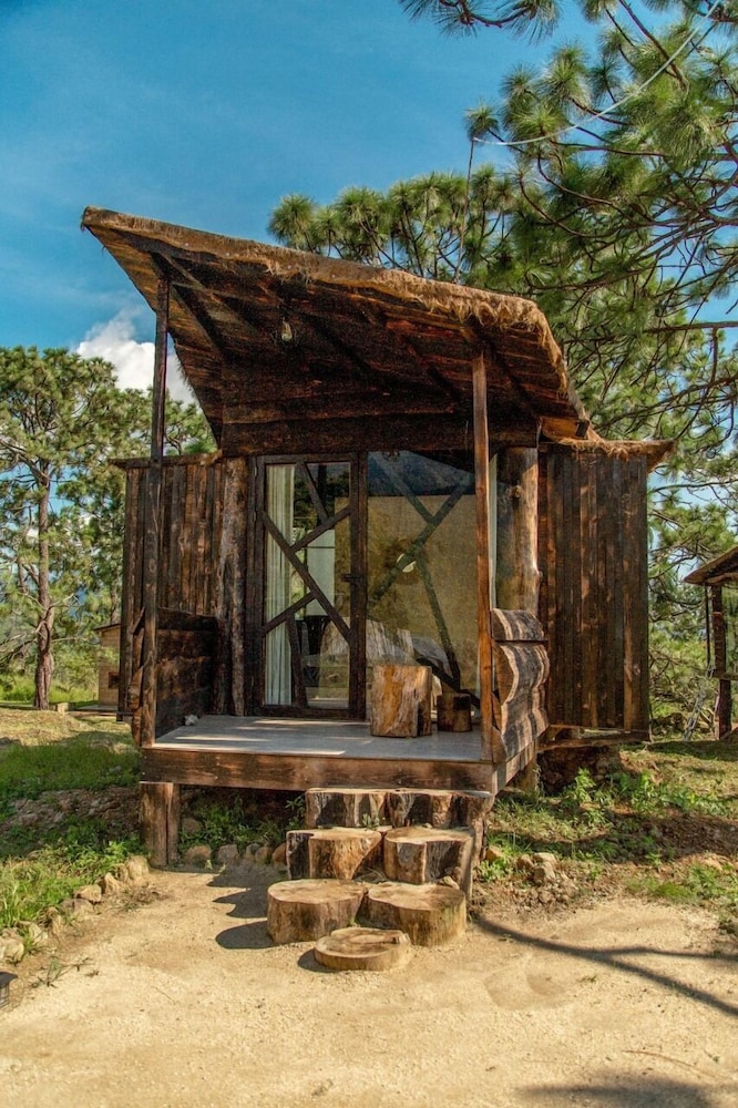 Family Tree House, Mountain View