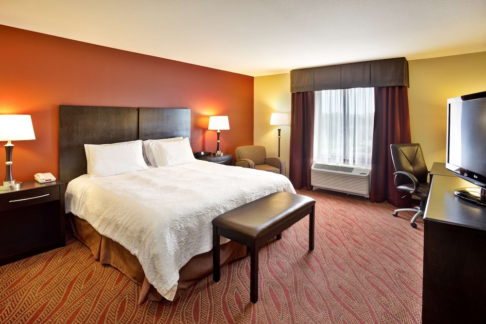 Room, 1 King Bed, Accessible, Non Smoking (Mobility & Hearing, Roll-in Shower) photo 1