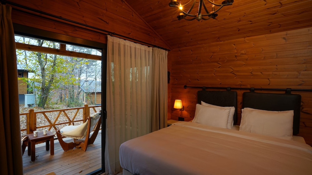 Standard Tree House photo 1