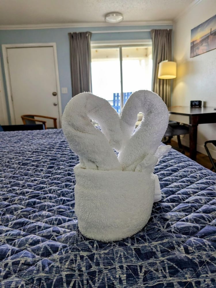 Elite Room, 1 King Bed, Balcony, Oceanfront photo 3