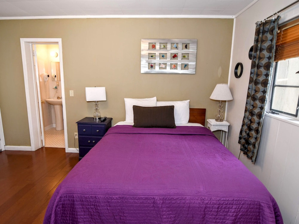 Standard Studio, Ensuite (Single Queen Efficiency) photo 3