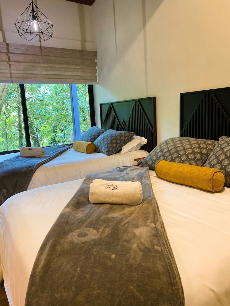 Suites con vista al Bosque - 2 camas Queen