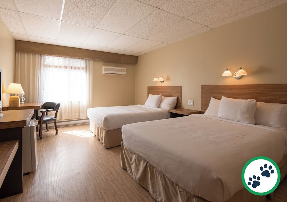Comfort Room, 2 Double Beds