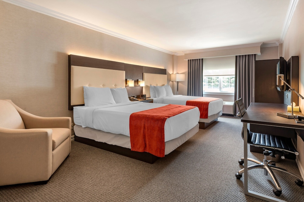 Superior Room, 2 Double Beds photo 1