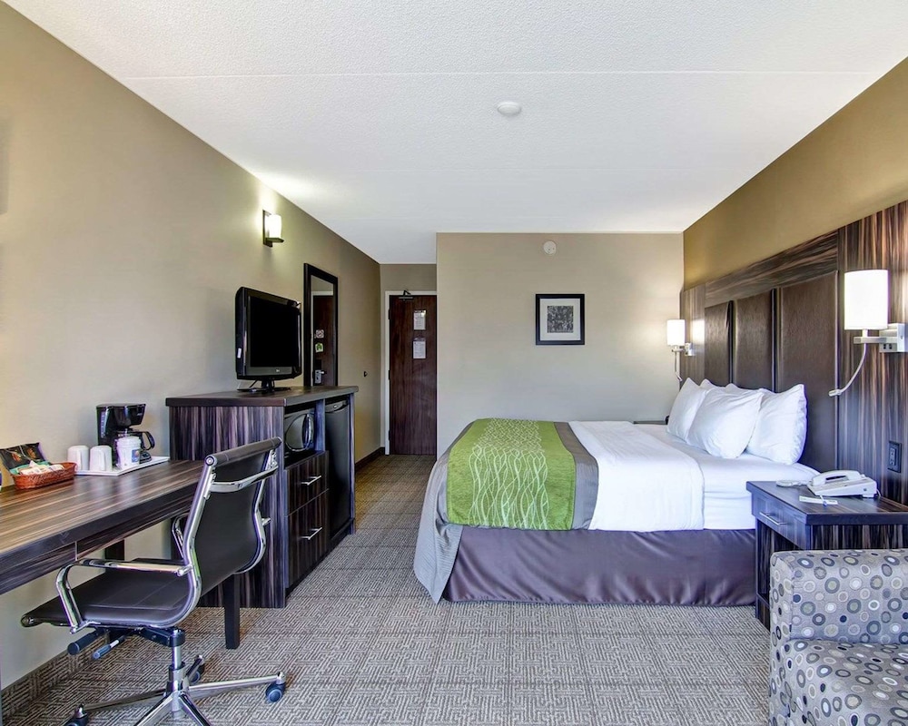 Standard Room, 1 King Bed, Non Smoking (No Pets Allowed) - Photo 6