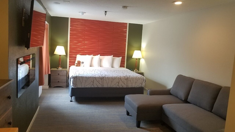 Classic Single Room