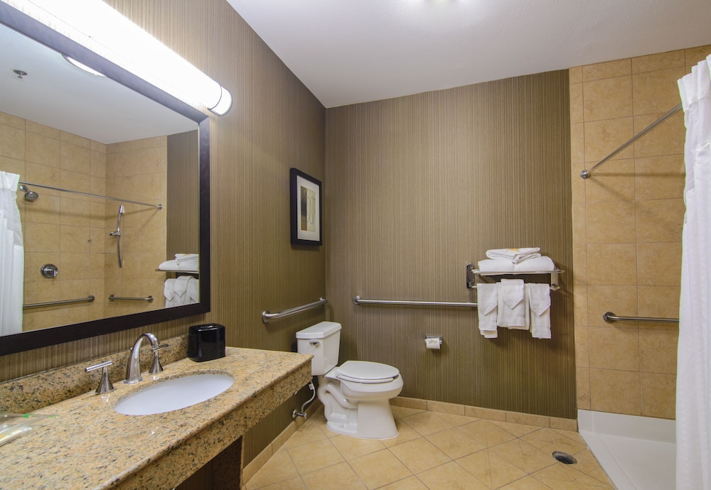 Suite, 1 King Bed, Accessible (Mobility, Roll-In Shower) - Photo 7