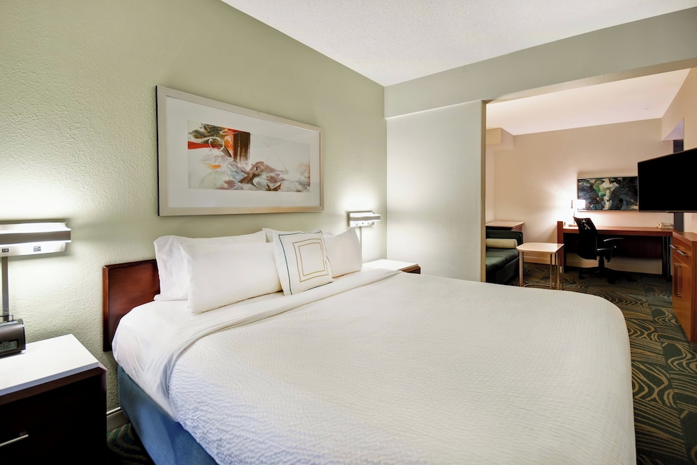 Studio, Multiple Beds - Photo 8