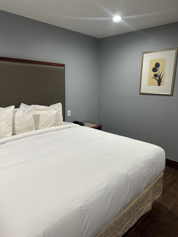 Newly Remodeled Room, King Bed, Non-Smoking - Photo 2