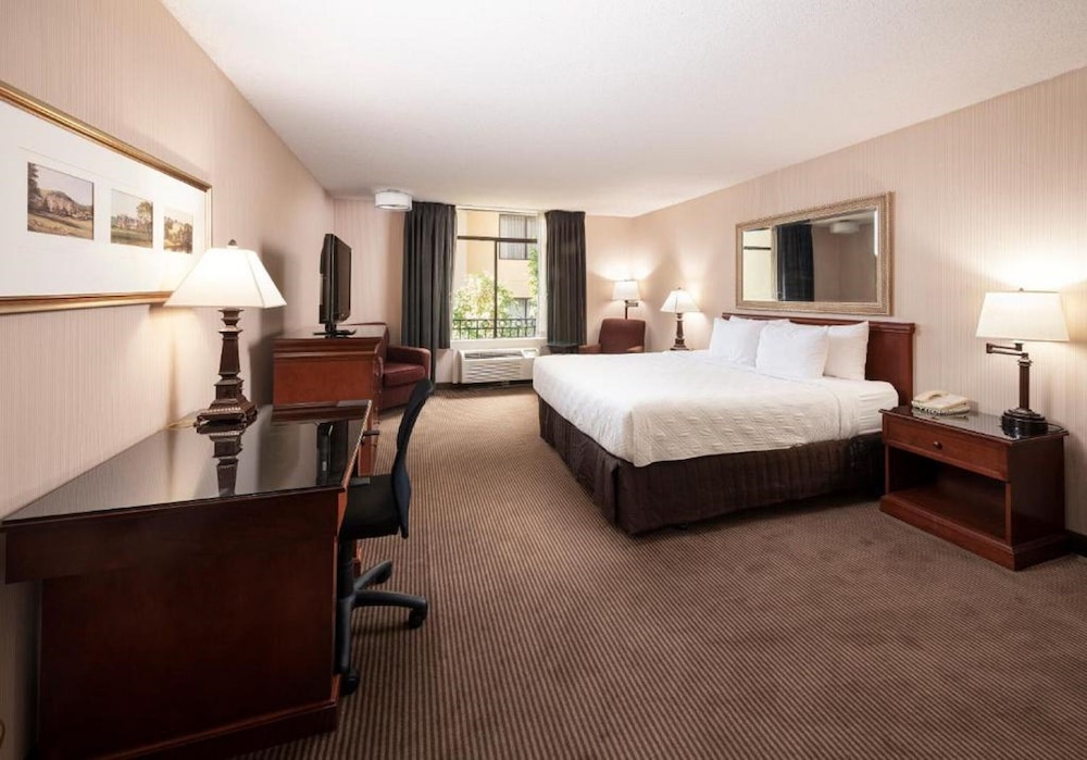Deluxe Room, 1 Queen Bed, Non Smoking photo 1