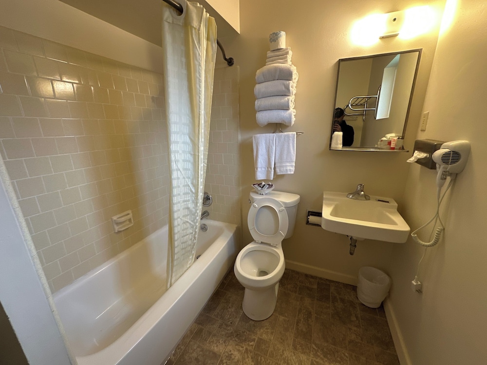 Single Room, 2 Queen Beds, Kitchen photo 2