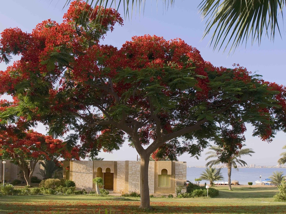 Villa, 3 Bedrooms - Photo 4