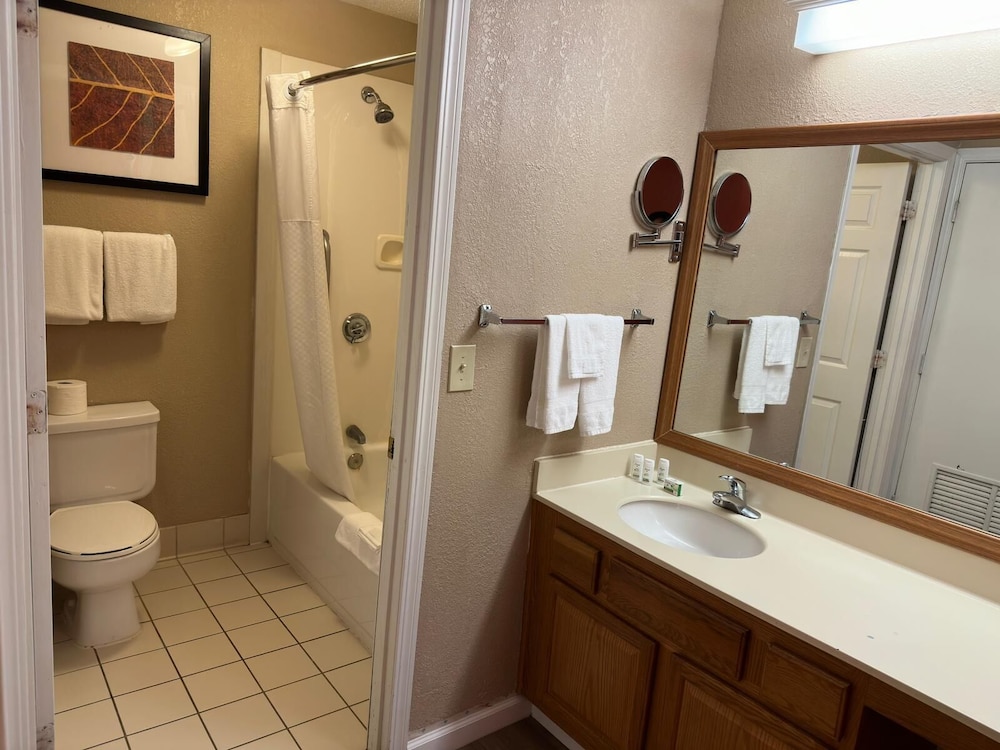 Studio Suite, 1 Queen Bed, Accessible, Non Smoking - Photo 7