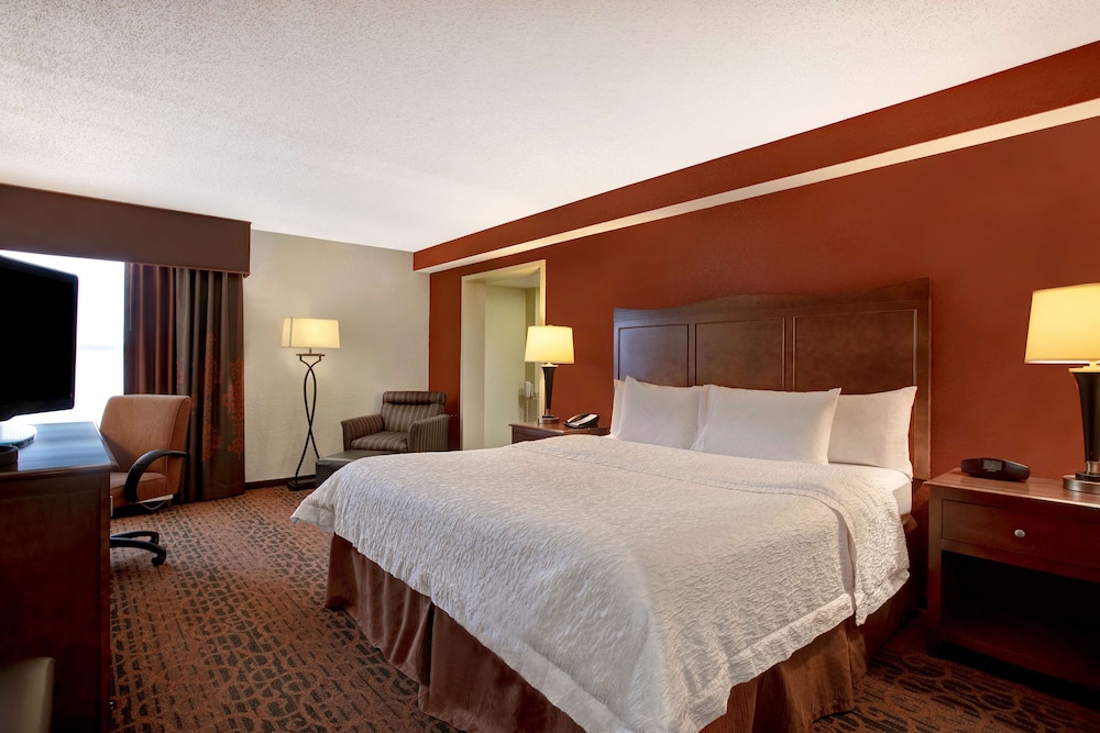 Room, 1 King Bed, Refrigerator & Microwave (Jetted Tub) - Photo 3