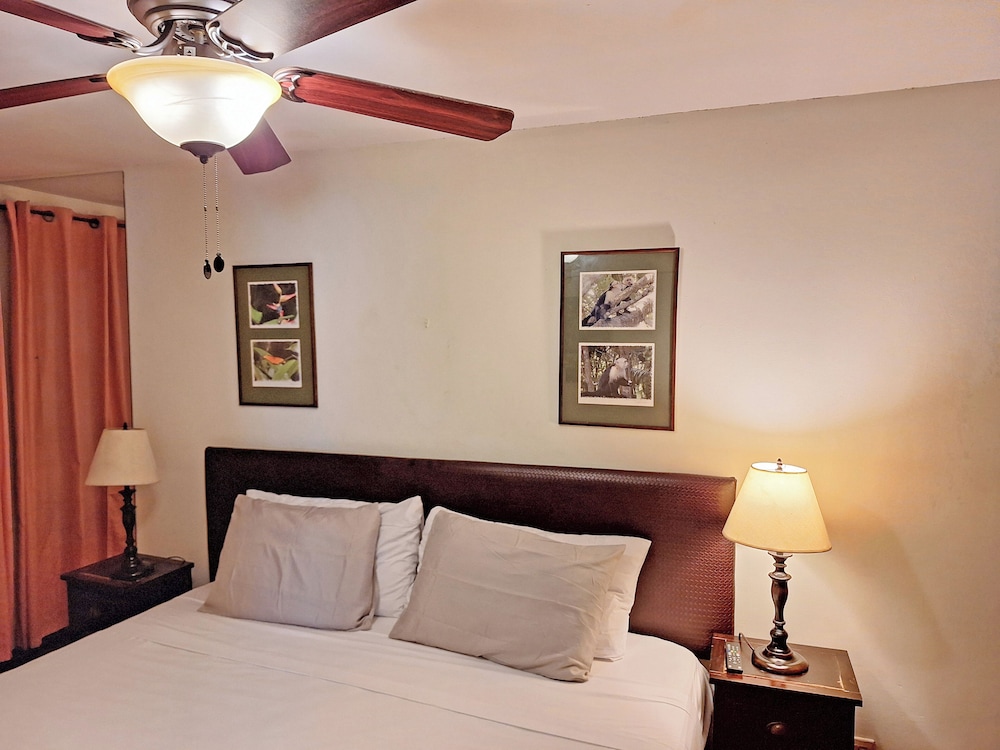 Superior Room photo 2