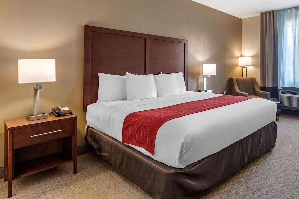 Suite, 1 King Bed - Photo 1