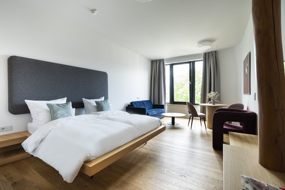 Large Studio, Kitchenette, Sofa Bed photo 1