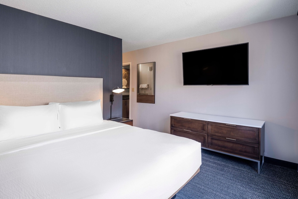 Executive Suite, 1 Bedroom photo 3