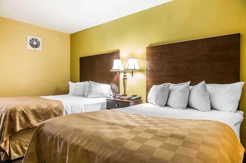 Exclusive Quadruple Room photo 1