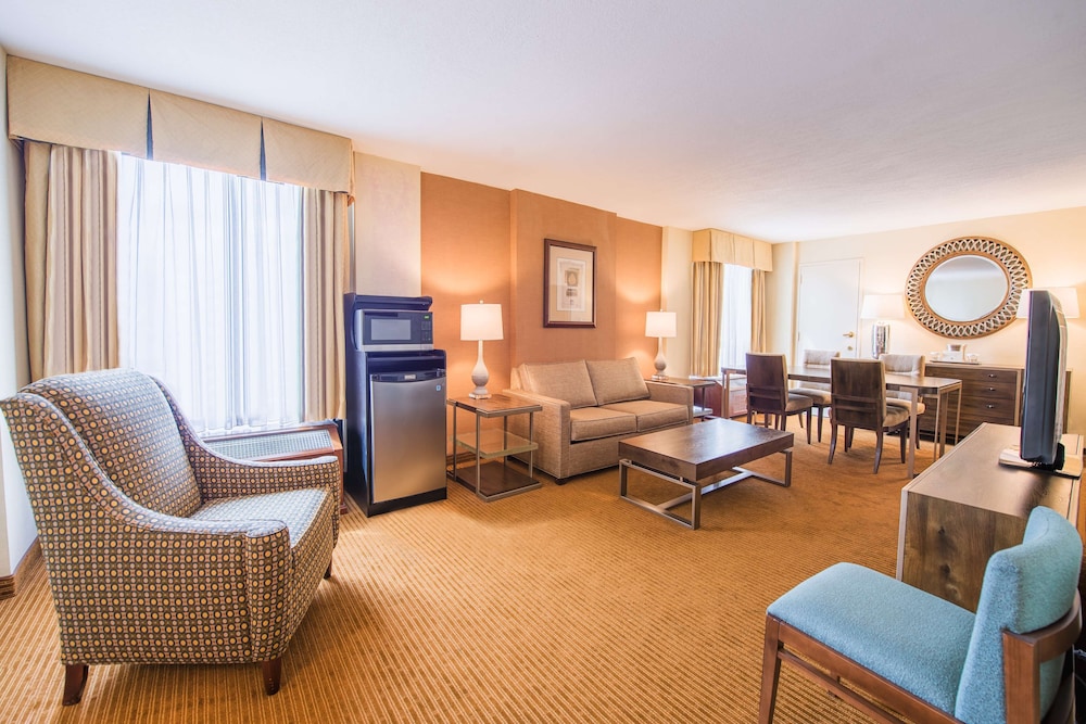 Premium Suite, 1 Bedroom photo 1