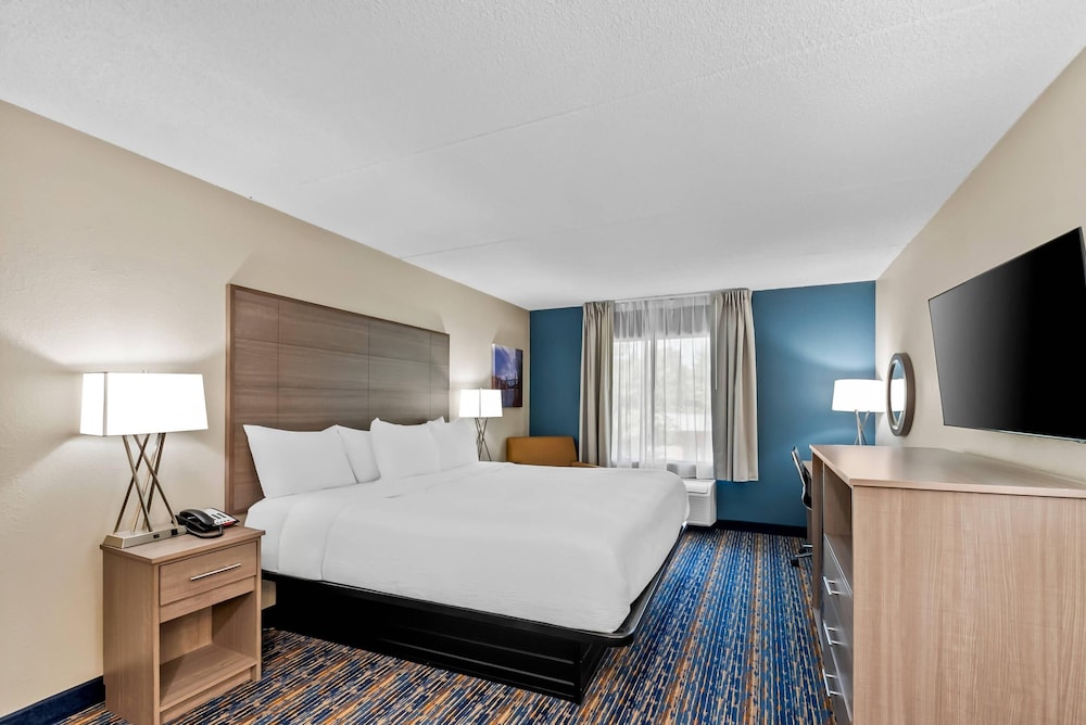 Room, 1 King Bed, Non Smoking photo 2