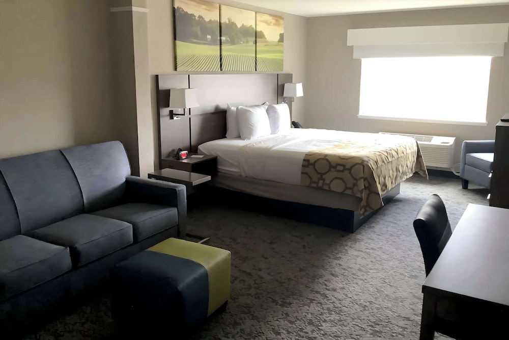 Suite, 1 King Bed, Non Smoking - Photo 1