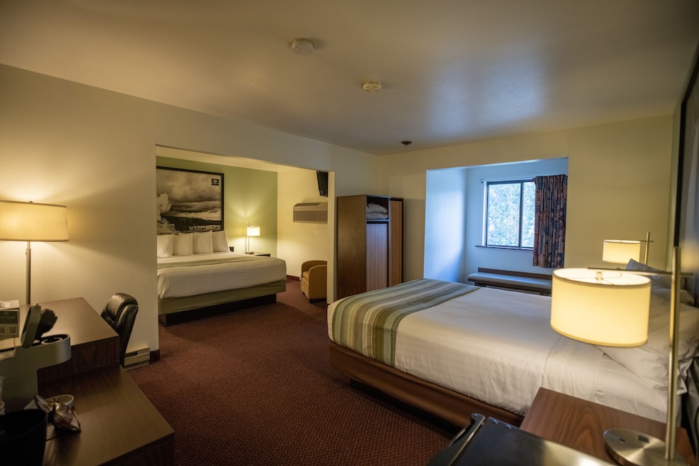 Deluxe Room, 1 King & 1 Queen photo 1
