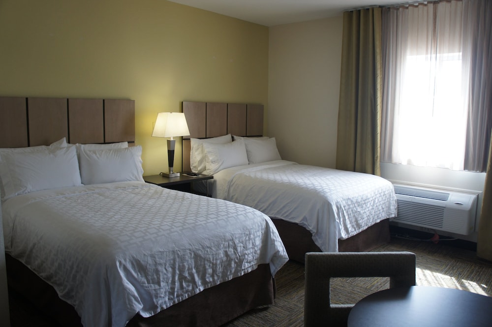 Studio Suite, 2 Double Beds - Photo 1