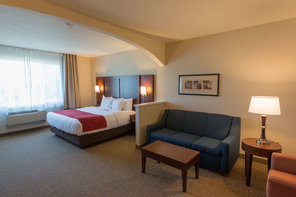Studio Suite, 1 King Bed with Sofa bed photo 2