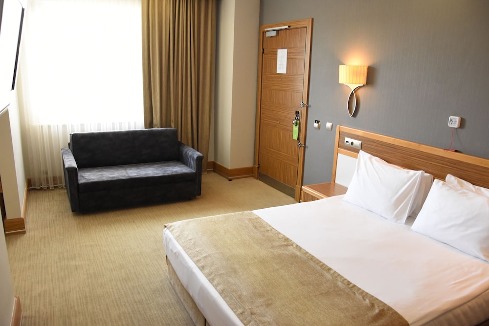 Standard Room, 1 King Bed With Sofa Bed, Accessible