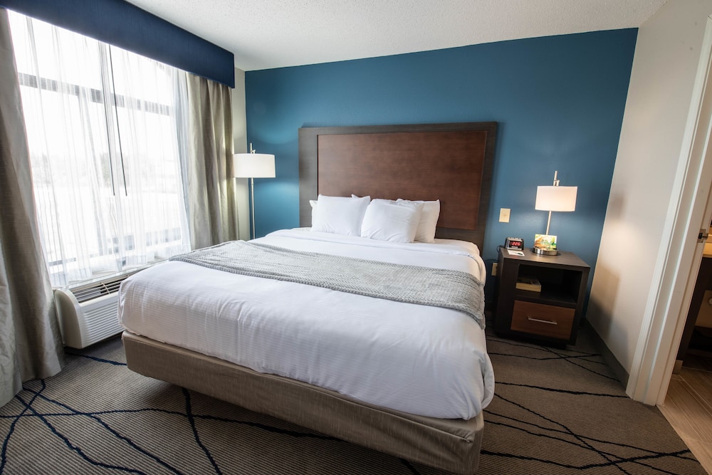 Studio Suite, 1 King Bed, Non Smoking - Photo 8