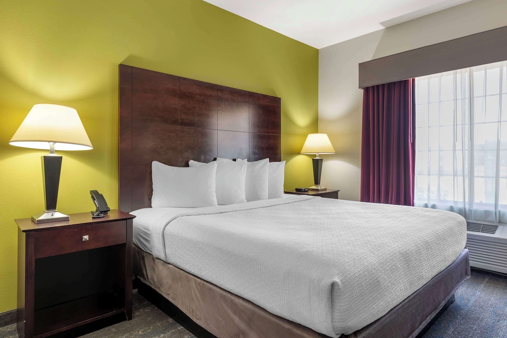 Standard Room, 1 King Bed, Non Smoking, Jetted Tub - Photo 1