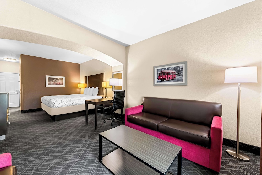 Suite, 1 King Bed, Non Smoking, Refrigerator & Microwave (with Sofabed) - Photo 3
