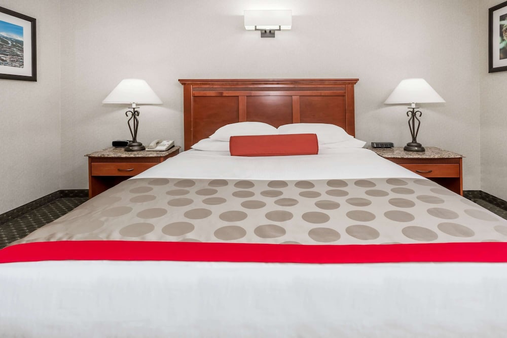 Standard Room, 1 Queen Bed, Accessible, Non Smoking (Mobility Accessible) - Photo 1