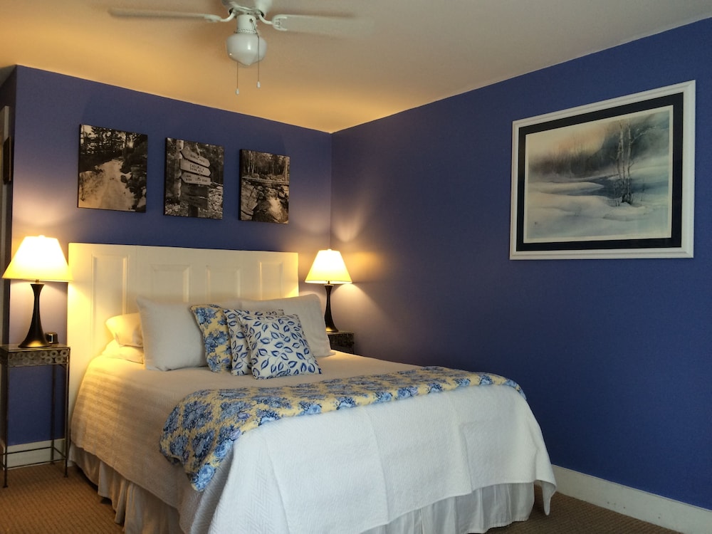 Room, 1 King Bed, Non Smoking photo 2