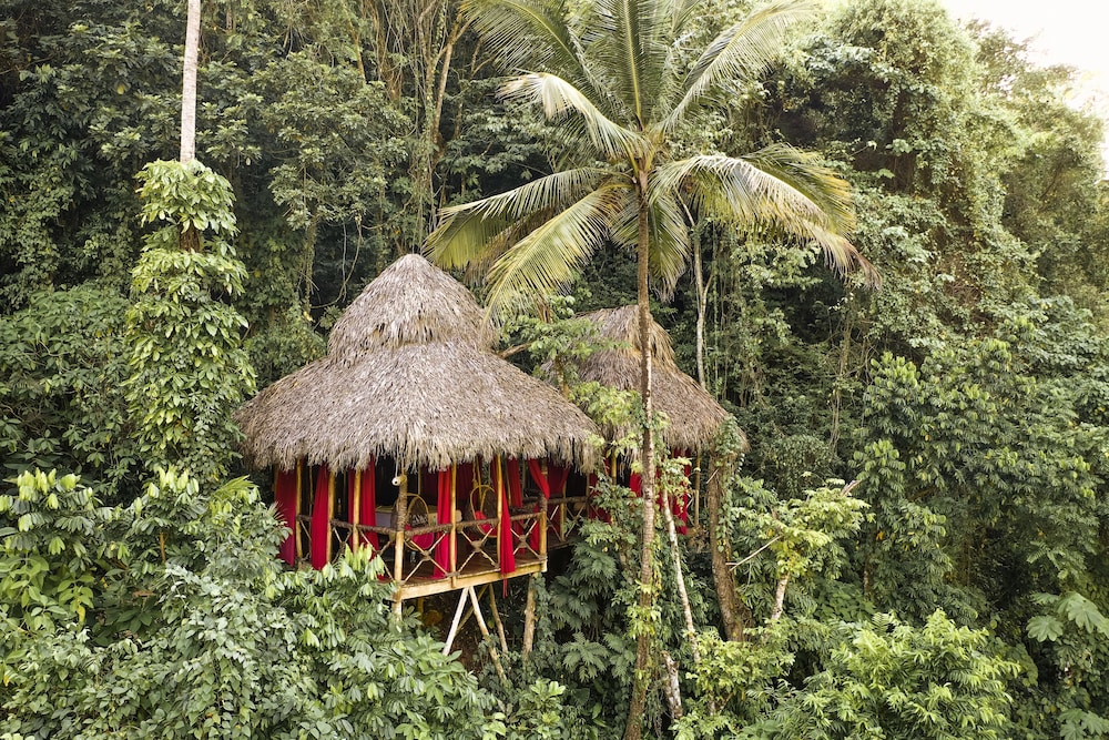 Family Tree House, Garden View