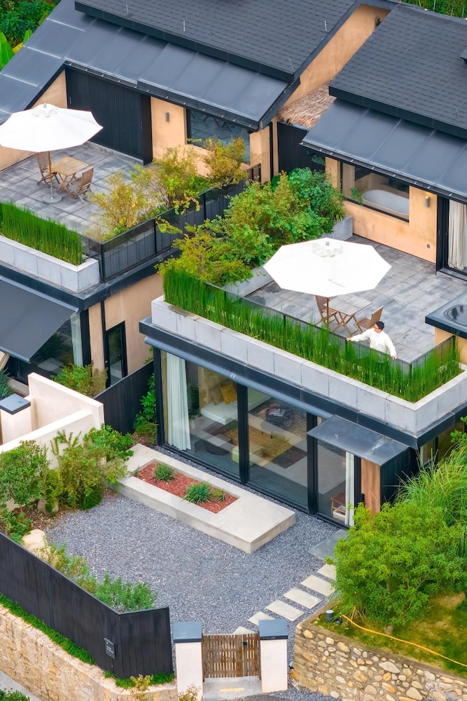 Standard House, Patio, Mountain View