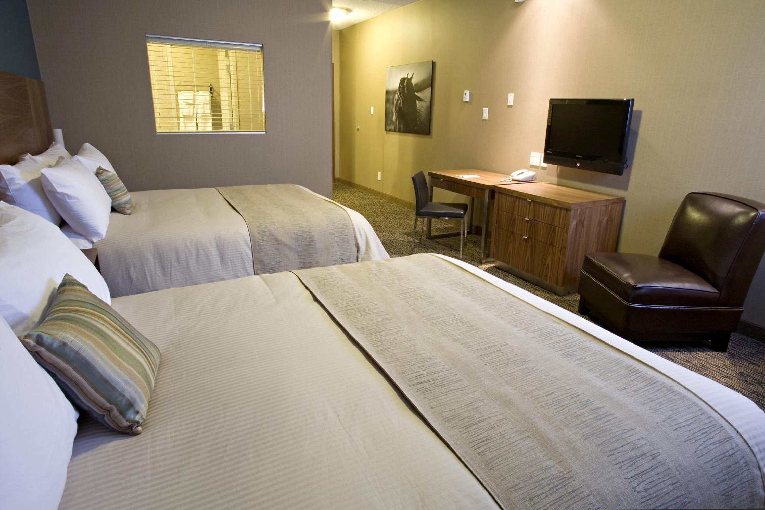 Deluxe Queen Room photo 2