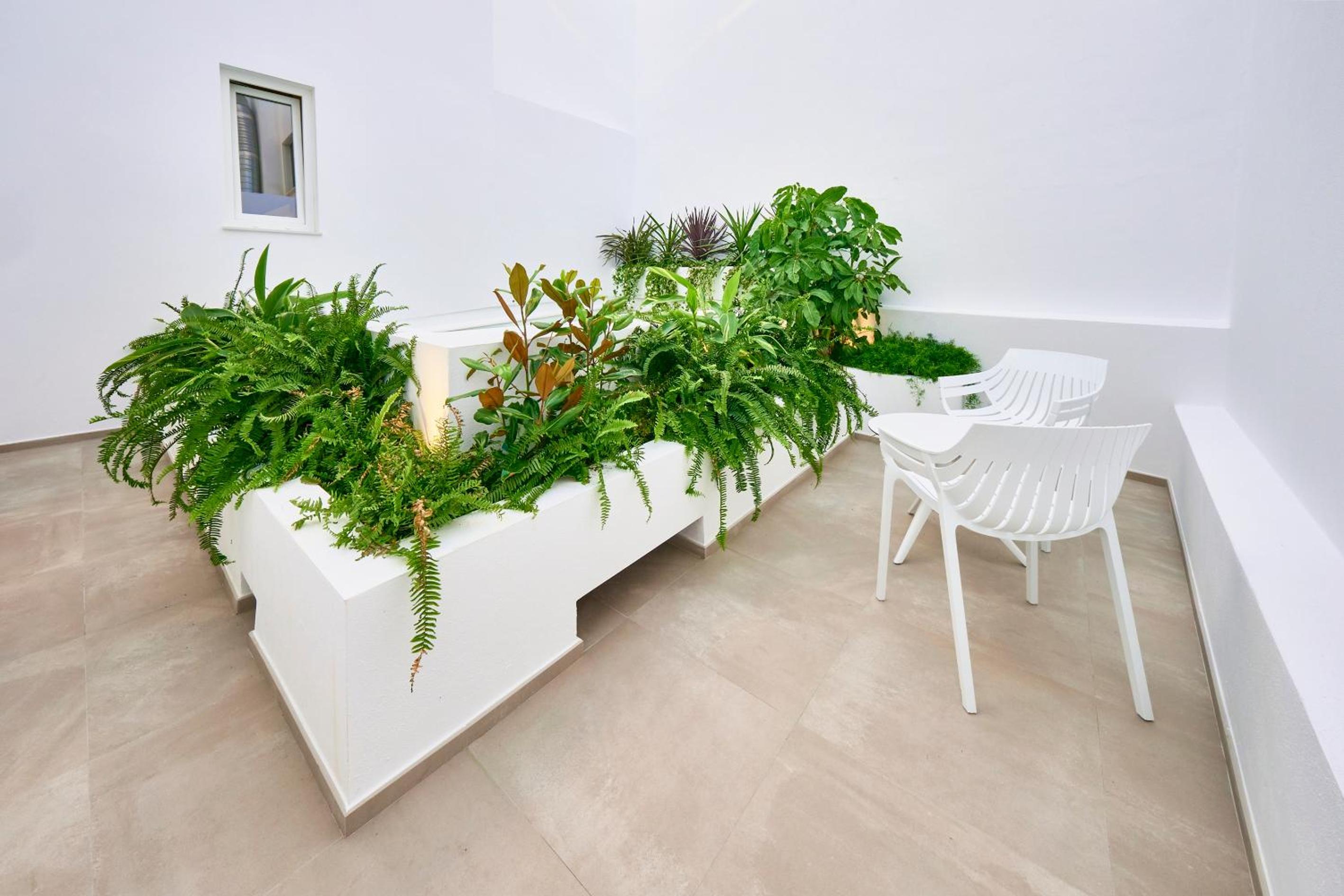 Double Room with Terrace - Photo 3