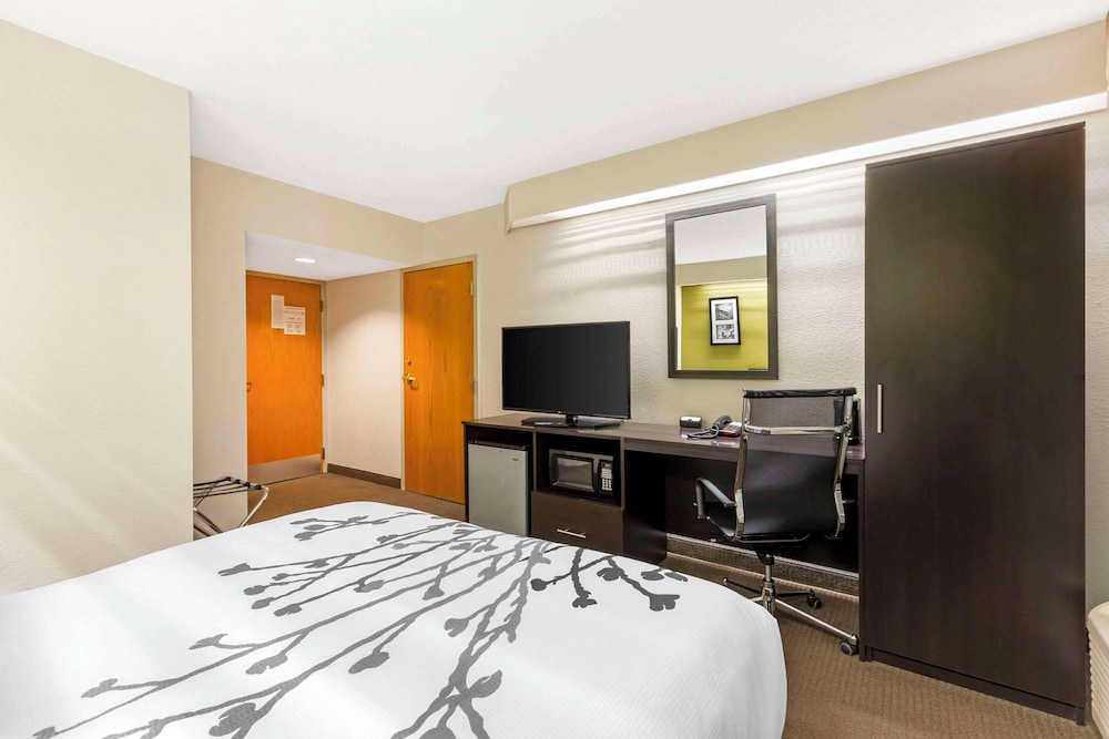 Room, 1 Queen Bed, Accessible, Non Smoking (Mobility, Roll-In Shower) - Photo 3
