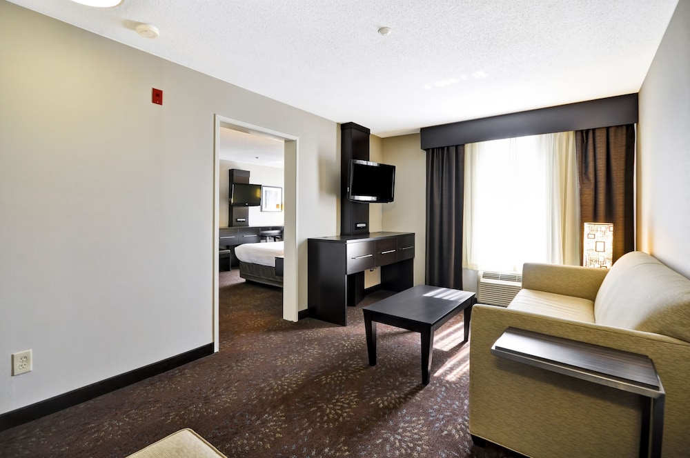 Suite, 1 Bedroom (1 King Bed, Sofa Bed)