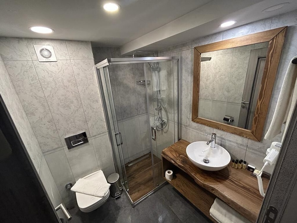 Superior Double or Twin Room photo 2