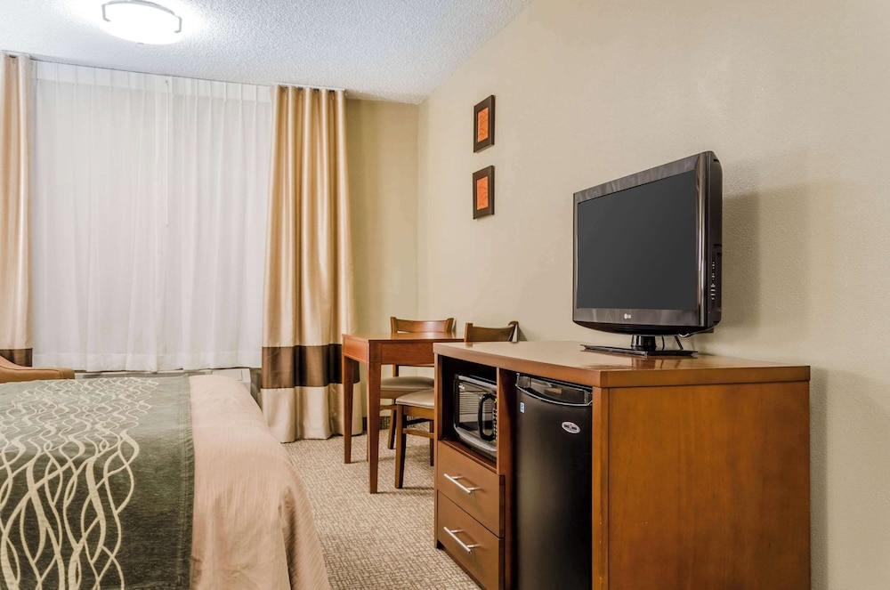 Room, 1 Queen Bed, Accessible, Non Smoking - Photo 4