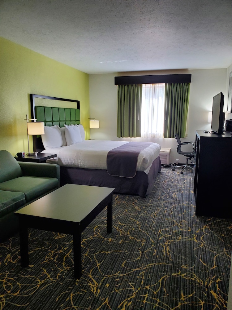 Room, 1 King Bed, Accessible, Non Smoking (Mobility,Tub w/Grab Bars) - Photo 7